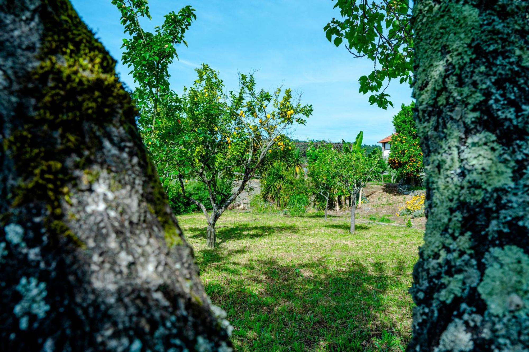 Casa Da Guarda De Fora Villa Paredes  Cameră foto